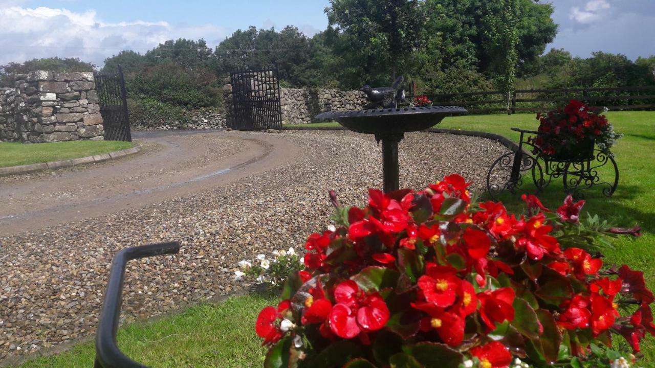Bealkelly Country House Killaloe Esterno foto