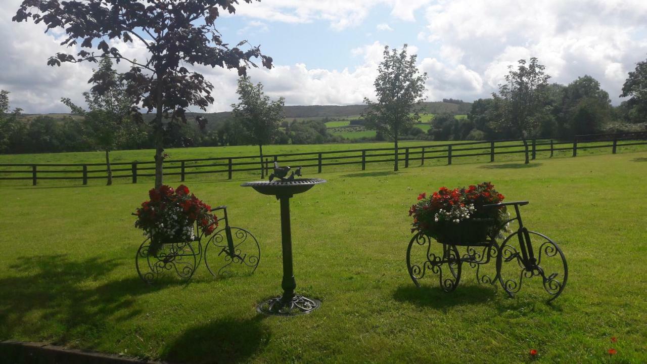 Bealkelly Country House Killaloe Esterno foto